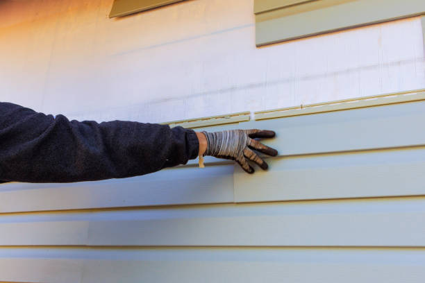 Historical Building Siding Restoration in Elroy, NC